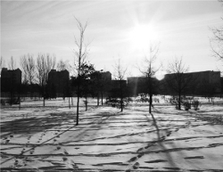 Guben zehn Jahren nach dem Tod von Farid Guendoul